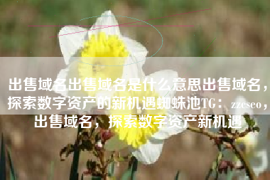 出售域名出售域名是什么意思出售域名，探索数字资产的新机遇蜘蛛池TG：zzcseo，出售域名，探索数字资产新机遇