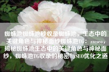 蜘蛛池蜘蛛池秒收录蜘蛛池，生态中的关键角色与神秘面纱蜘蛛池TG：zzcseo，揭秘蜘蛛池生态中的关键角色与神秘面纱，蜘蛛池TG收录的秘密与SEO优化之道