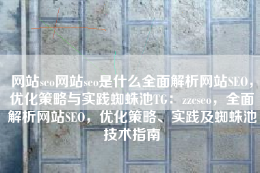 网站seo网站seo是什么全面解析网站SEO，优化策略与实践蜘蛛池TG：zzcseo，全面解析网站SEO，优化策略、实践及蜘蛛池技术指南