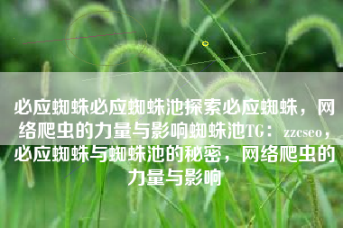 必应蜘蛛必应蜘蛛池探索必应蜘蛛，网络爬虫的力量与影响蜘蛛池TG：zzcseo，必应蜘蛛与蜘蛛池的秘密，网络爬虫的力量与影响