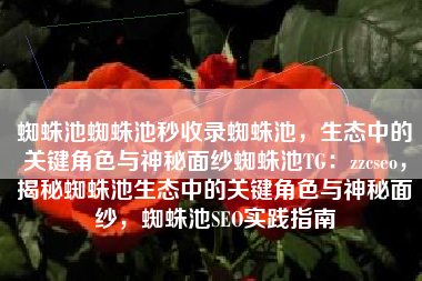 蜘蛛池蜘蛛池秒收录蜘蛛池，生态中的关键角色与神秘面纱蜘蛛池TG：zzcseo，揭秘蜘蛛池生态中的关键角色与神秘面纱，蜘蛛池SEO实践指南