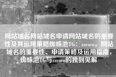 网站域名网站域名申请网站域名的重要性及其运用策略蜘蛛池TG：zzcseo，网站域名的重要性、申请策略及运用指南，蜘蛛池TG与zzcseo的独到见解
