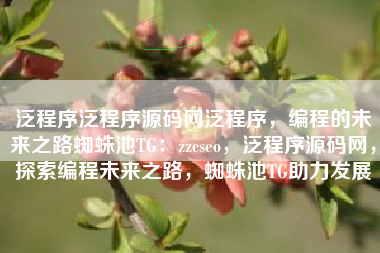 泛程序泛程序源码网泛程序，编程的未来之路蜘蛛池TG：zzcseo，泛程序源码网，探索编程未来之路，蜘蛛池TG助力发展