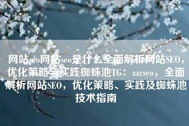 网站seo网站seo是什么全面解析网站SEO，优化策略与实践蜘蛛池TG：zzcseo，全面解析网站SEO，优化策略、实践及蜘蛛池技术指南