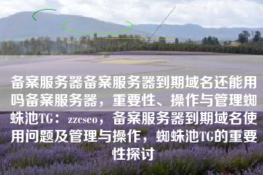 备案服务器备案服务器到期域名还能用吗备案服务器，重要性、操作与管理蜘蛛池TG：zzcseo，备案服务器到期域名使用问题及管理与操作，蜘蛛池TG的重要性探讨