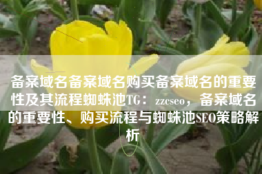 备案域名备案域名购买备案域名的重要性及其流程蜘蛛池TG：zzcseo，备案域名的重要性、购买流程与蜘蛛池SEO策略解析