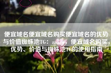 便宜域名便宜域名购买便宜域名的优势与价值蜘蛛池TG：zzcseo，便宜域名购买，优势、价值与蜘蛛池TG的使用指南
