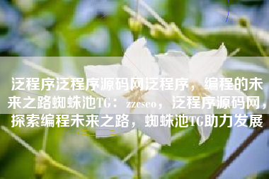 泛程序泛程序源码网泛程序，编程的未来之路蜘蛛池TG：zzcseo，泛程序源码网，探索编程未来之路，蜘蛛池TG助力发展