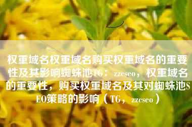 权重域名权重域名购买权重域名的重要性及其影响蜘蛛池TG：zzcseo，权重域名的重要性，购买权重域名及其对蜘蛛池SEO策略的影响（TG，zzcseo）
