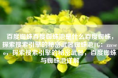 百度蜘蛛百度蜘蛛池是什么百度蜘蛛，探索搜索引擎的秘密武器蜘蛛池TG：zzcseo，探索搜索引擎的秘密武器，百度蜘蛛与蜘蛛池详解