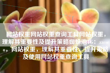 网站权重网站权重查询工具网站权重，理解其重要性及提升策略蜘蛛池TG：zzcseo，网站权重，理解其重要性、提升策略及使用网站权重查询工具