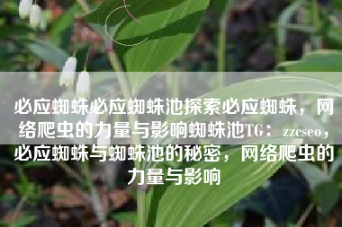 必应蜘蛛必应蜘蛛池探索必应蜘蛛，网络爬虫的力量与影响蜘蛛池TG：zzcseo，必应蜘蛛与蜘蛛池的秘密，网络爬虫的力量与影响