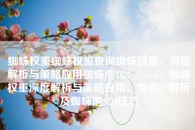 蜘蛛权重蜘蛛权重查询蜘蛛权重，深度解析与策略应用蜘蛛池TG：zzcseo，蜘蛛权重深度解析与策略应用，查询、解析及蜘蛛池SEO技巧
