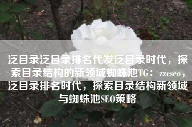 泛目录泛目录排名代发泛目录时代，探索目录结构的新领域蜘蛛池TG：zzcseo，泛目录排名时代，探索目录结构新领域与蜘蛛池SEO策略
