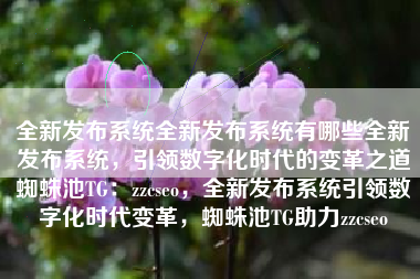 全新发布系统全新发布系统有哪些全新发布系统，引领数字化时代的变革之道蜘蛛池TG：zzcseo，全新发布系统引领数字化时代变革，蜘蛛池TG助力zzcseo