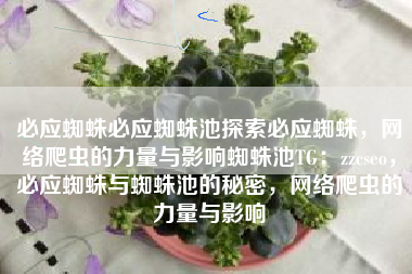 必应蜘蛛必应蜘蛛池探索必应蜘蛛，网络爬虫的力量与影响蜘蛛池TG：zzcseo，必应蜘蛛与蜘蛛池的秘密，网络爬虫的力量与影响
