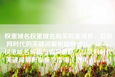 权重域名权重域名购买权重域名，互联网时代的关键词解析蜘蛛池TG：zzcseo，权重域名解析与购买策略，互联网时代关键词解析蜘蛛池指南（附TG，zzcseo）