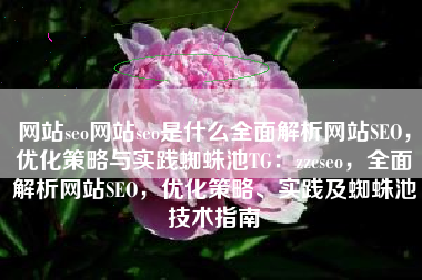 网站seo网站seo是什么全面解析网站SEO，优化策略与实践蜘蛛池TG：zzcseo，全面解析网站SEO，优化策略、实践及蜘蛛池技术指南