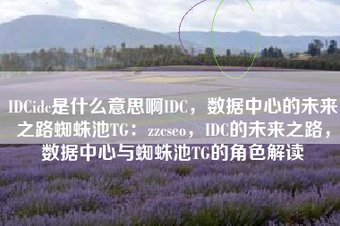 IDCidc是什么意思啊IDC，数据中心的未来之路蜘蛛池TG：zzcseo，IDC的未来之路，数据中心与蜘蛛池TG的角色解读