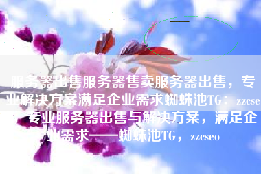 服务器出售服务器售卖服务器出售，专业解决方案满足企业需求蜘蛛池TG：zzcseo，专业服务器出售与解决方案，满足企业需求——蜘蛛池TG，zzcseo