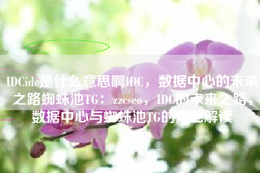 IDCidc是什么意思啊IDC，数据中心的未来之路蜘蛛池TG：zzcseo，IDC的未来之路，数据中心与蜘蛛池TG的角色解读