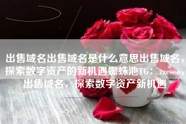 出售域名出售域名是什么意思出售域名，探索数字资产的新机遇蜘蛛池TG：zzcseo，出售域名，探索数字资产新机遇