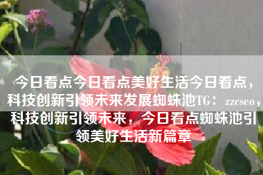 今日看点今日看点美好生活今日看点，科技创新引领未来发展蜘蛛池TG：zzcseo，科技创新引领未来，今日看点蜘蛛池引领美好生活新篇章
