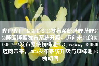 哔哩哔哩_bilibili_2025发布系统哔哩哔哩2050哔哩哔哩发布系统升级，迈向未来的Bilibili 2025发布系统蜘蛛池TG：zzcseo，Bilibili迈向未来，2025发布系统升级与蜘蛛池TG新动向