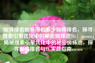 蜘蛛排名蜘蛛排名多少蜘蛛排名，探寻搜索引擎优化中的秘密蜘蛛池TG：zzcseo，揭秘搜索引擎优化中的秘密蜘蛛池，探寻蜘蛛排名与TG实战指南zzcseo