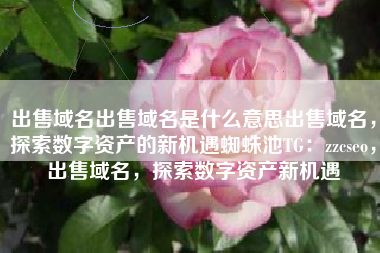 出售域名出售域名是什么意思出售域名，探索数字资产的新机遇蜘蛛池TG：zzcseo，出售域名，探索数字资产新机遇