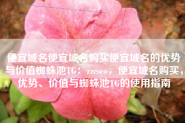 便宜域名便宜域名购买便宜域名的优势与价值蜘蛛池TG：zzcseo，便宜域名购买，优势、价值与蜘蛛池TG的使用指南