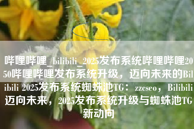 哔哩哔哩_bilibili_2025发布系统哔哩哔哩2050哔哩哔哩发布系统升级，迈向未来的Bilibili 2025发布系统蜘蛛池TG：zzcseo，Bilibili迈向未来，2025发布系统升级与蜘蛛池TG新动向