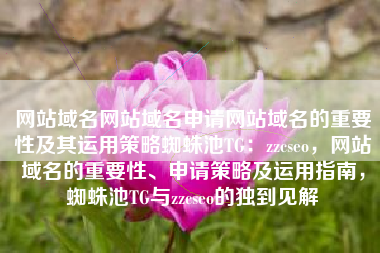 网站域名网站域名申请网站域名的重要性及其运用策略蜘蛛池TG：zzcseo，网站域名的重要性、申请策略及运用指南，蜘蛛池TG与zzcseo的独到见解