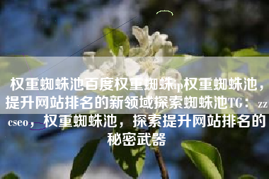 权重蜘蛛池百度权重蜘蛛ip权重蜘蛛池，提升网站排名的新领域探索蜘蛛池TG：zzcseo，权重蜘蛛池，探索提升网站排名的秘密武器