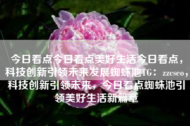 今日看点今日看点美好生活今日看点，科技创新引领未来发展蜘蛛池TG：zzcseo，科技创新引领未来，今日看点蜘蛛池引领美好生活新篇章