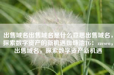 出售域名出售域名是什么意思出售域名，探索数字资产的新机遇蜘蛛池TG：zzcseo，出售域名，探索数字资产新机遇
