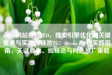 seoseo网站推广SEO，搜索引擎优化的关键要素与实践蜘蛛池TG：zzcseo，SEO实践指南，关键要素、蜘蛛池与网站推广策略