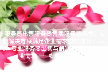 服务器出售服务器售卖服务器出售，专业解决方案满足企业需求蜘蛛池TG：zzcseo，专业服务器出售与解决方案，满足企业需求——蜘蛛池TG，zzcseo