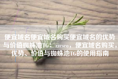 便宜域名便宜域名购买便宜域名的优势与价值蜘蛛池TG：zzcseo，便宜域名购买，优势、价值与蜘蛛池TG的使用指南