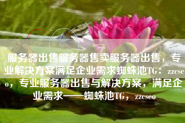 服务器出售服务器售卖服务器出售，专业解决方案满足企业需求蜘蛛池TG：zzcseo，专业服务器出售与解决方案，满足企业需求——蜘蛛池TG，zzcseo