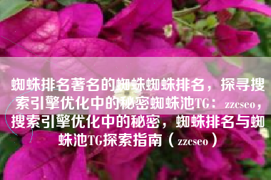 蜘蛛排名著名的蜘蛛蜘蛛排名，探寻搜索引擎优化中的秘密蜘蛛池TG：zzcseo，搜索引擎优化中的秘密，蜘蛛排名与蜘蛛池TG探索指南（zzcseo）