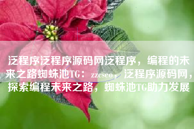 泛程序泛程序源码网泛程序，编程的未来之路蜘蛛池TG：zzcseo，泛程序源码网，探索编程未来之路，蜘蛛池TG助力发展