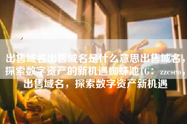 出售域名出售域名是什么意思出售域名，探索数字资产的新机遇蜘蛛池TG：zzcseo，出售域名，探索数字资产新机遇