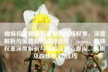 蜘蛛权重蜘蛛权重查询蜘蛛权重，深度解析与策略应用蜘蛛池TG：zzcseo，蜘蛛权重深度解析与策略应用，查询、解析及蜘蛛池SEO技巧