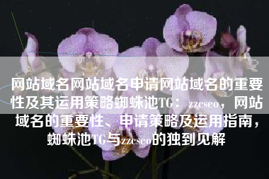 网站域名网站域名申请网站域名的重要性及其运用策略蜘蛛池TG：zzcseo，网站域名的重要性、申请策略及运用指南，蜘蛛池TG与zzcseo的独到见解