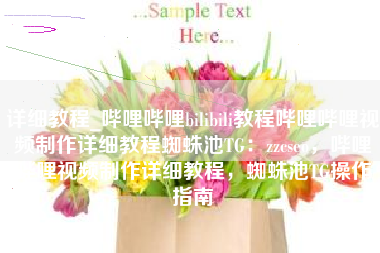详细教程_哔哩哔哩bilibili教程哔哩哔哩视频制作详细教程蜘蛛池TG：zzcseo，哔哩哔哩视频制作详细教程，蜘蛛池TG操作指南