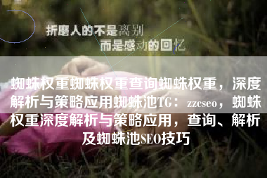 蜘蛛权重蜘蛛权重查询蜘蛛权重，深度解析与策略应用蜘蛛池TG：zzcseo，蜘蛛权重深度解析与策略应用，查询、解析及蜘蛛池SEO技巧