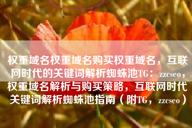 权重域名权重域名购买权重域名，互联网时代的关键词解析蜘蛛池TG：zzcseo，权重域名解析与购买策略，互联网时代关键词解析蜘蛛池指南（附TG，zzcseo）