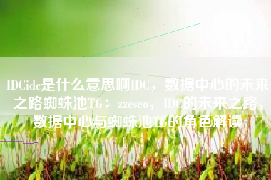 IDCidc是什么意思啊IDC，数据中心的未来之路蜘蛛池TG：zzcseo，IDC的未来之路，数据中心与蜘蛛池TG的角色解读