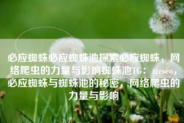 必应蜘蛛必应蜘蛛池探索必应蜘蛛，网络爬虫的力量与影响蜘蛛池TG：zzcseo，必应蜘蛛与蜘蛛池的秘密，网络爬虫的力量与影响